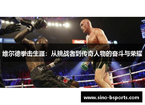 维尔德拳击生涯：从挑战者到传奇人物的奋斗与荣耀